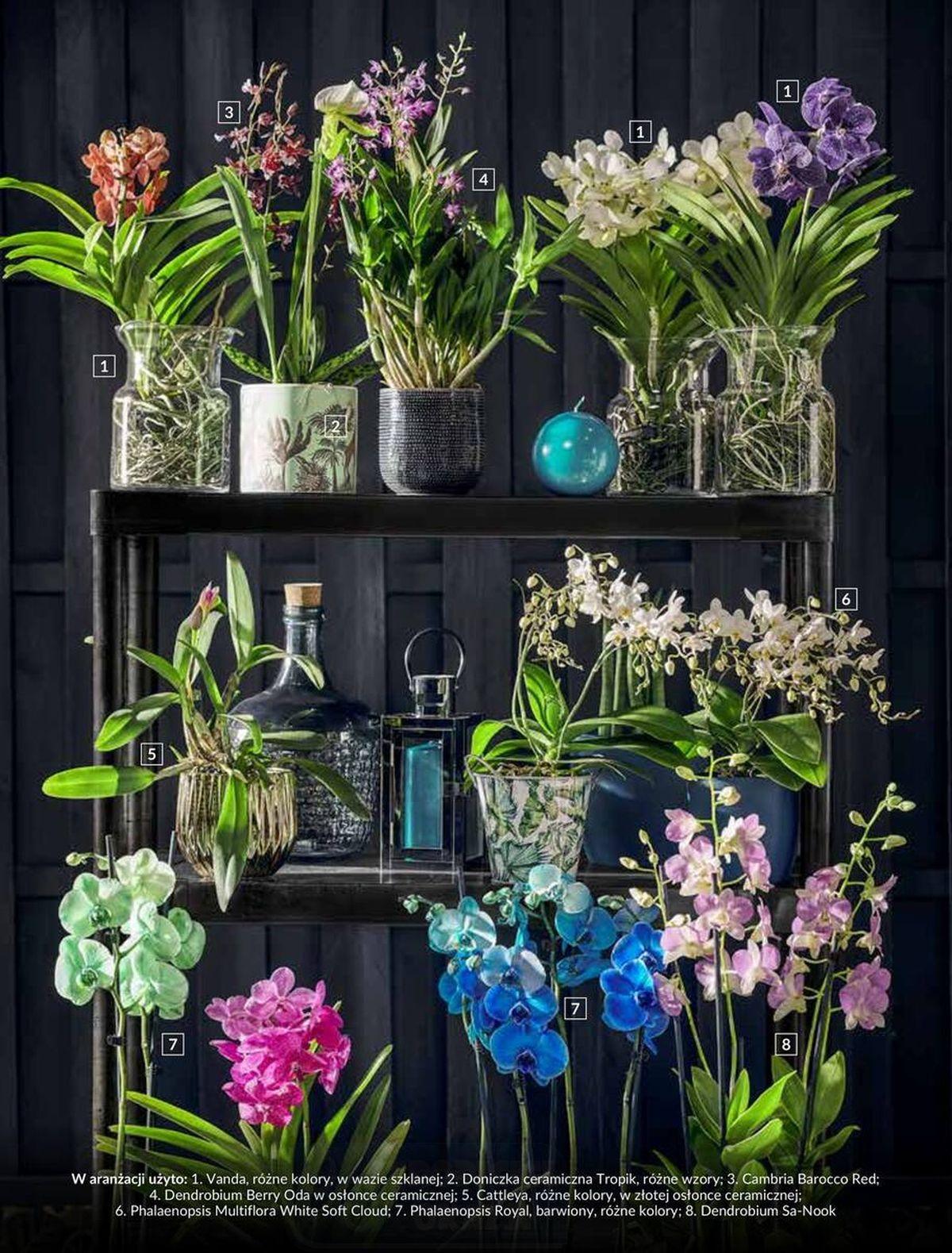 Gazetka promocyjna OBI str. 18