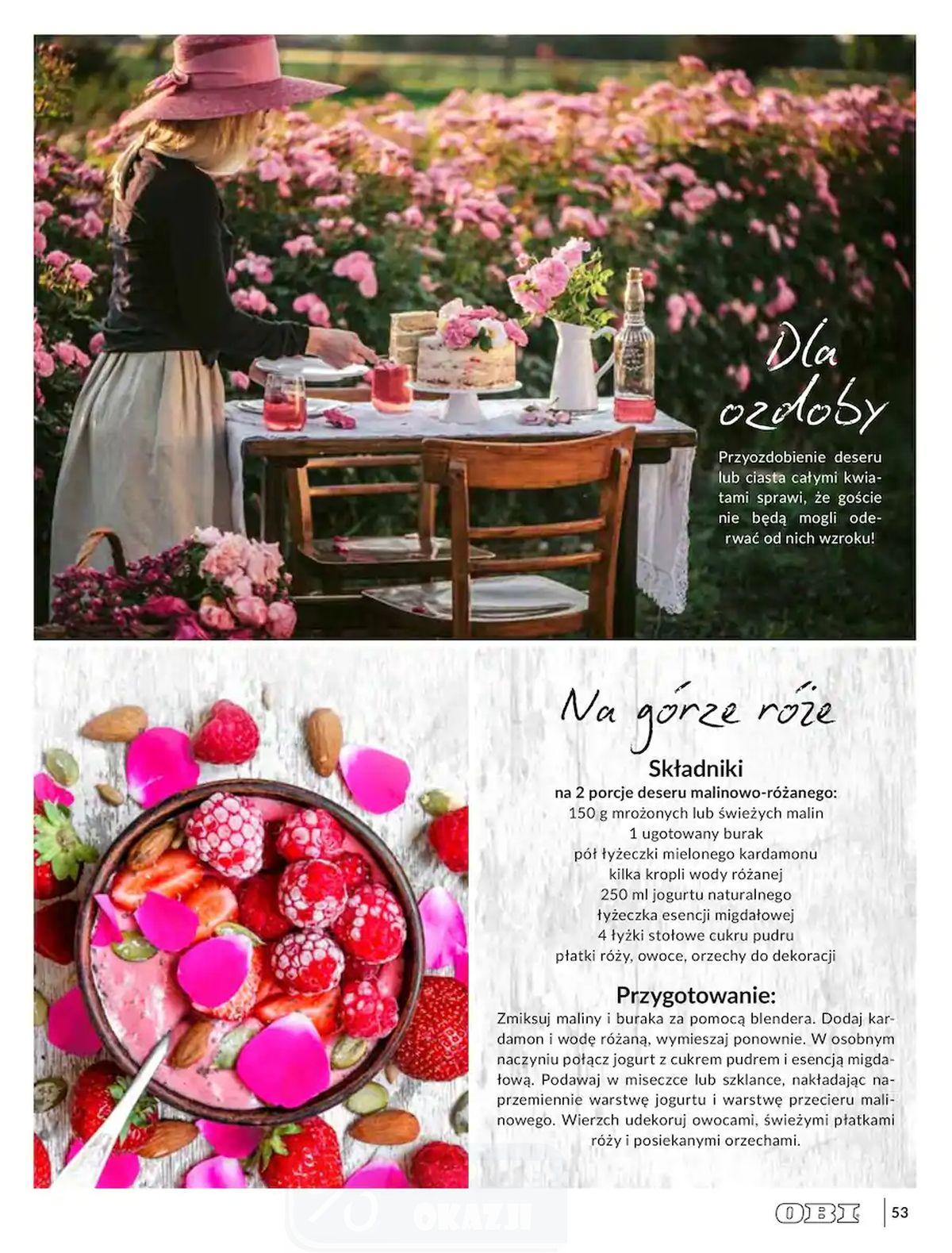 Gazetka promocyjna OBI str. 53