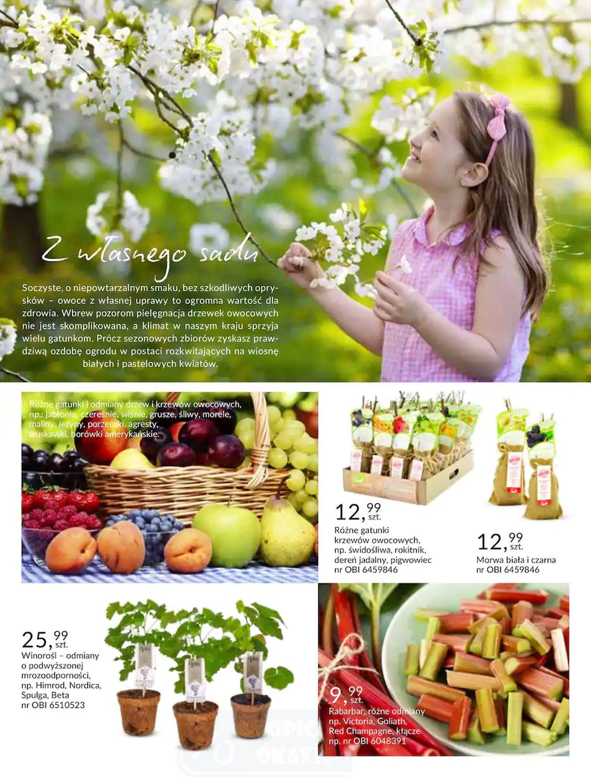 Gazetka promocyjna OBI str. 36