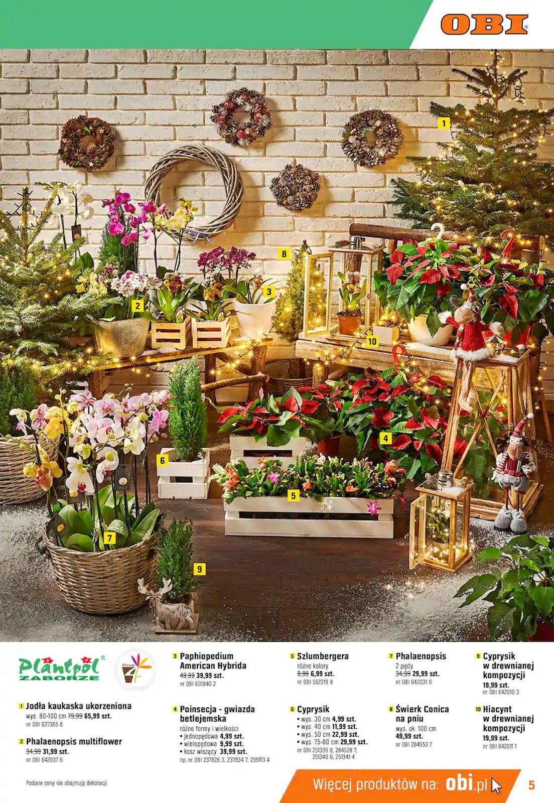 Gazetka promocyjna OBI str. 5