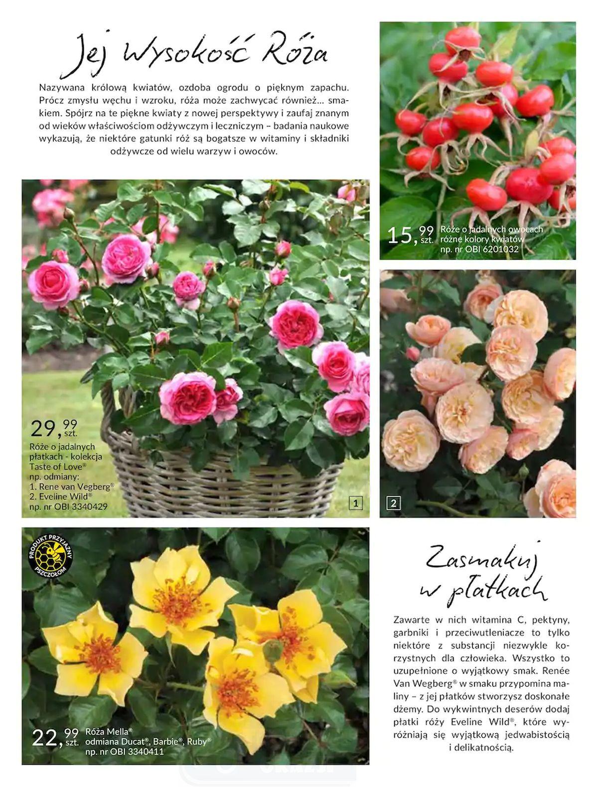 Gazetka promocyjna OBI str. 52