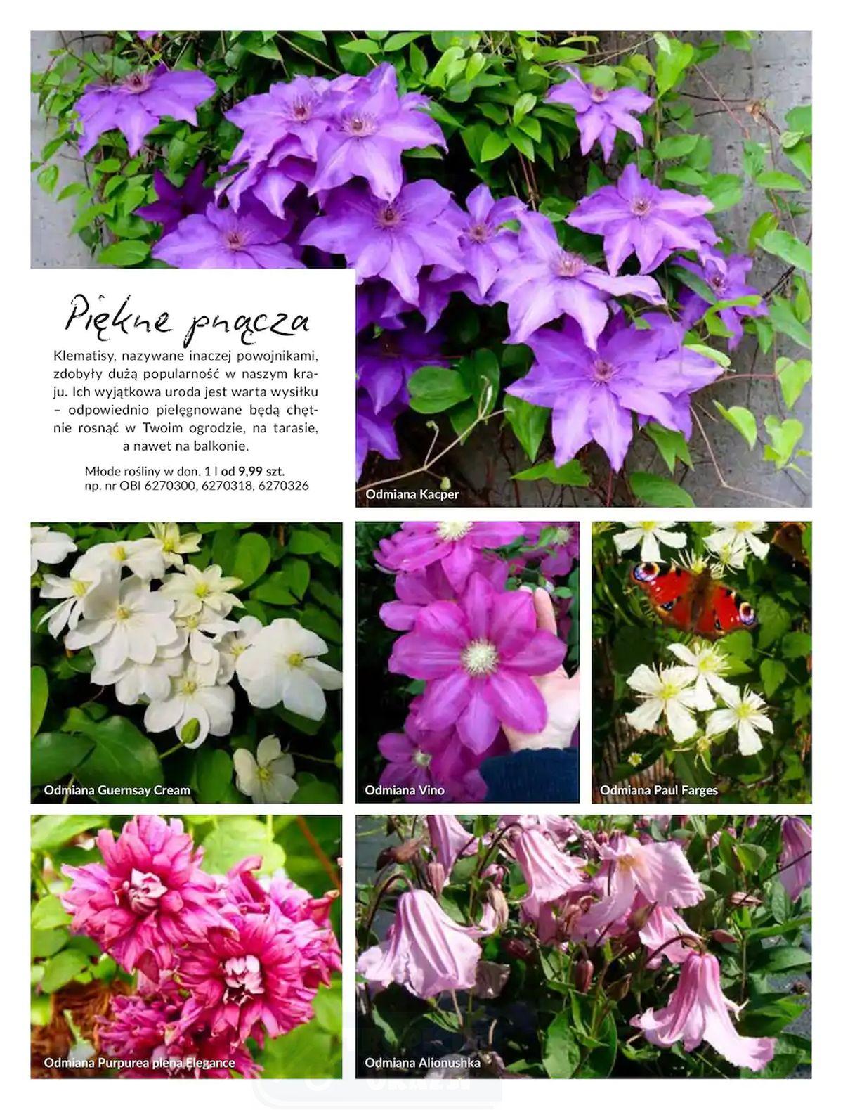 Gazetka promocyjna OBI str. 39